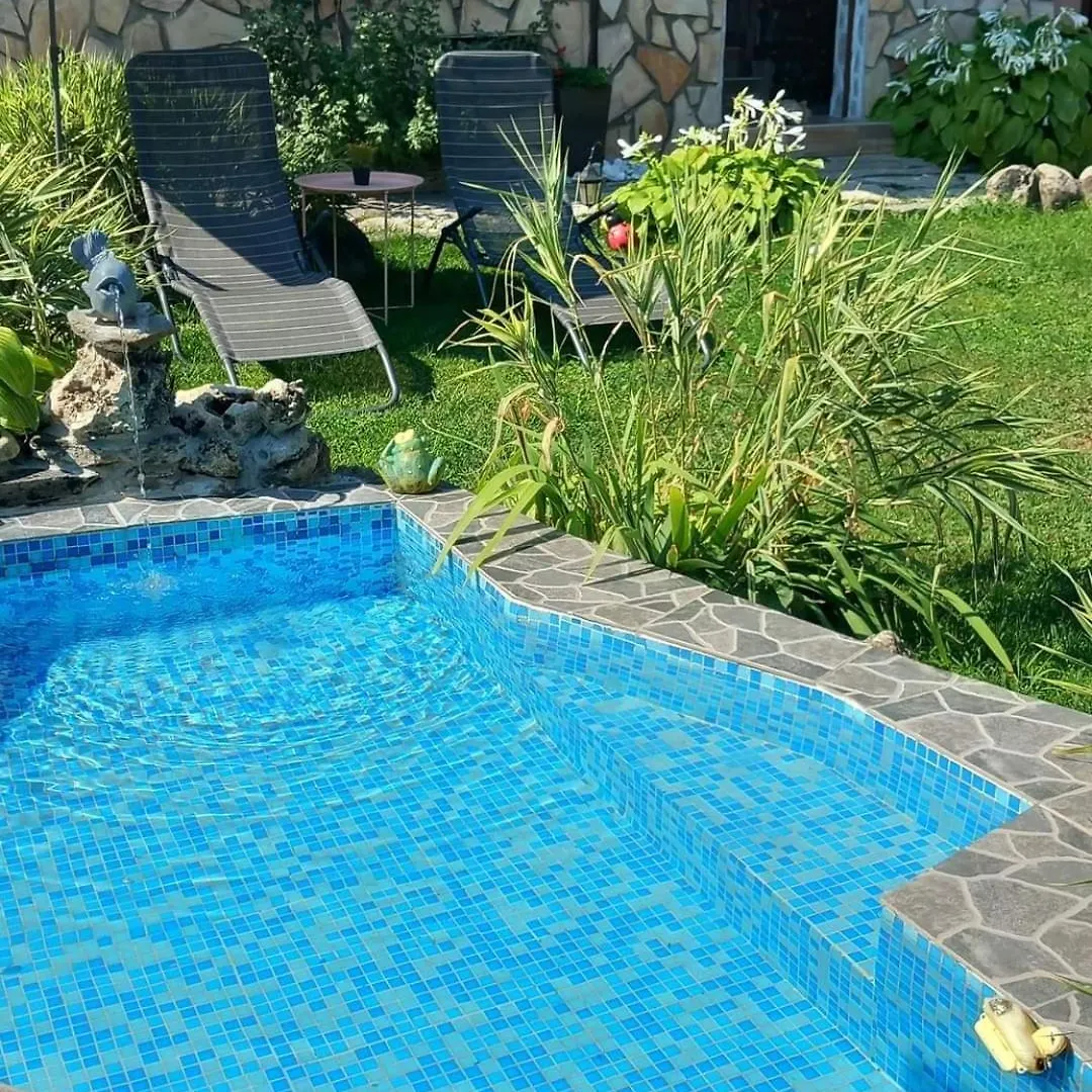 Hotel Boina House Bansko